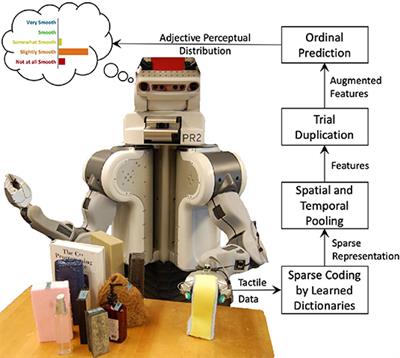 Learning to Predict Perceptual Distributions of Haptic Adjectives